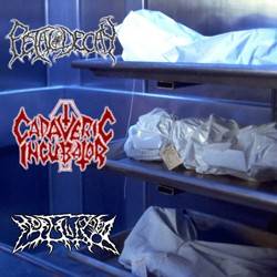 Mortalized (RUS) : 3 Way Split